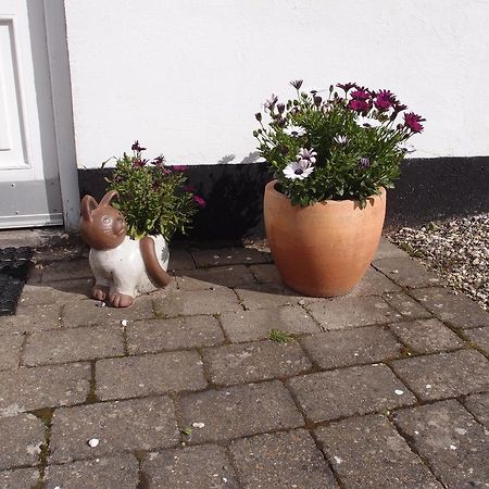 Bjaeldskovgaard Holiday House Funder Kirkeby エクステリア 写真