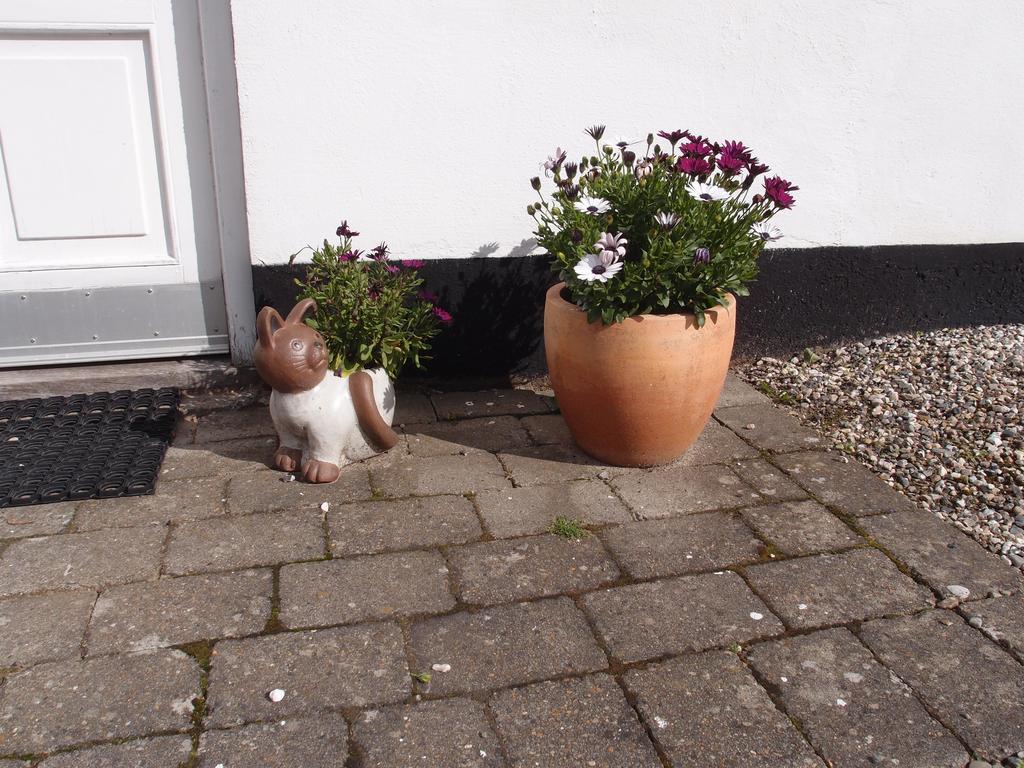 Bjaeldskovgaard Holiday House Funder Kirkeby エクステリア 写真