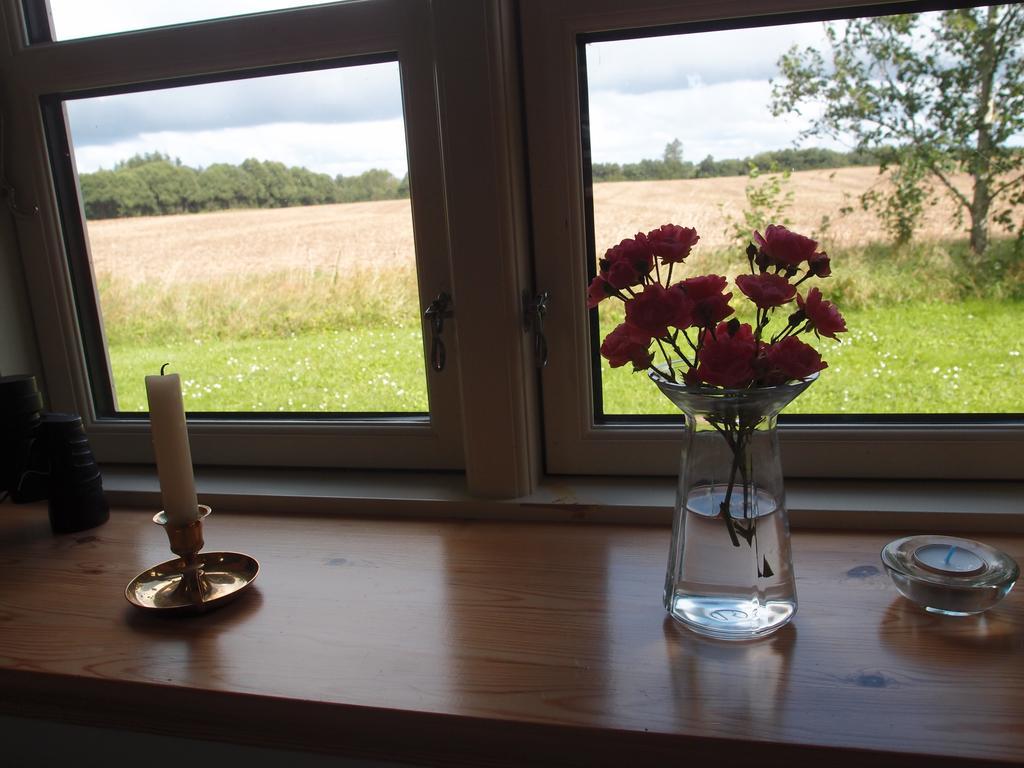 Bjaeldskovgaard Holiday House Funder Kirkeby エクステリア 写真
